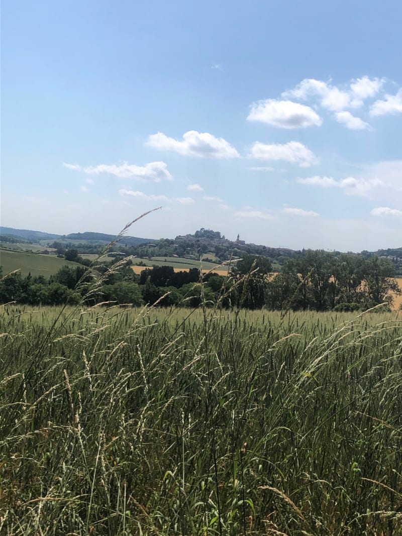Sentier de l’ail - Lautrec - Lautrec