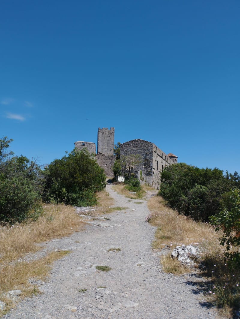 Petit Bosquet - Château Tornac - Tornac