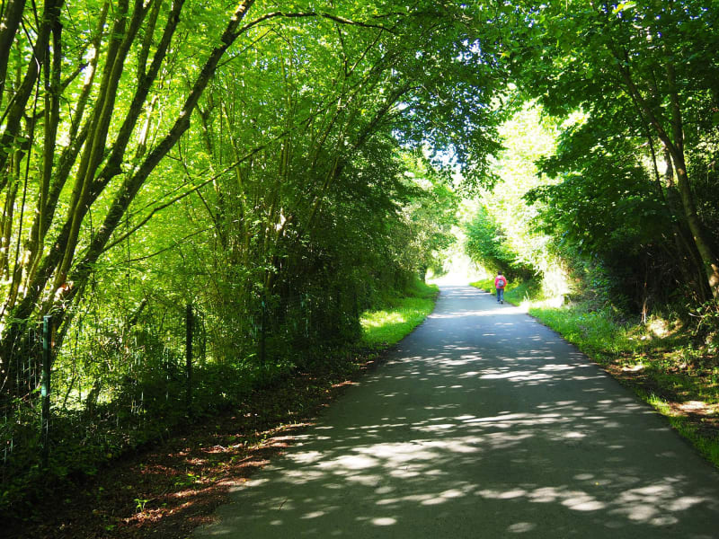 De korte fietstocht door de Ossauvallei via Arudy - Laruns