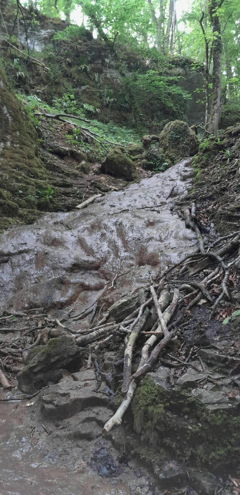 Gorges de la vingeane - Aprey
