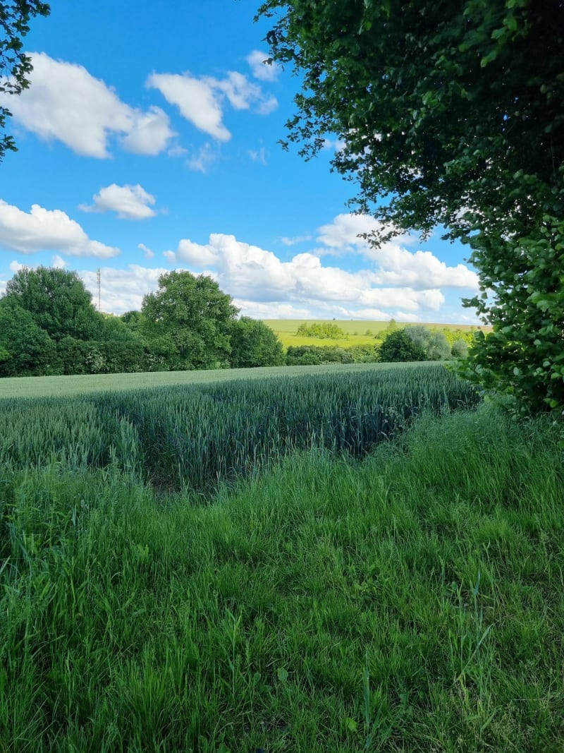 Petit sentier caché à Farfay et Burbure - Ferfay