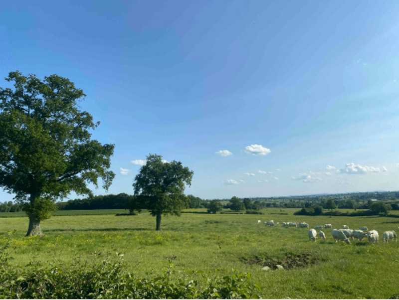 Moment apaisant entre Morvan et Auxois - Arnay-le-Duc