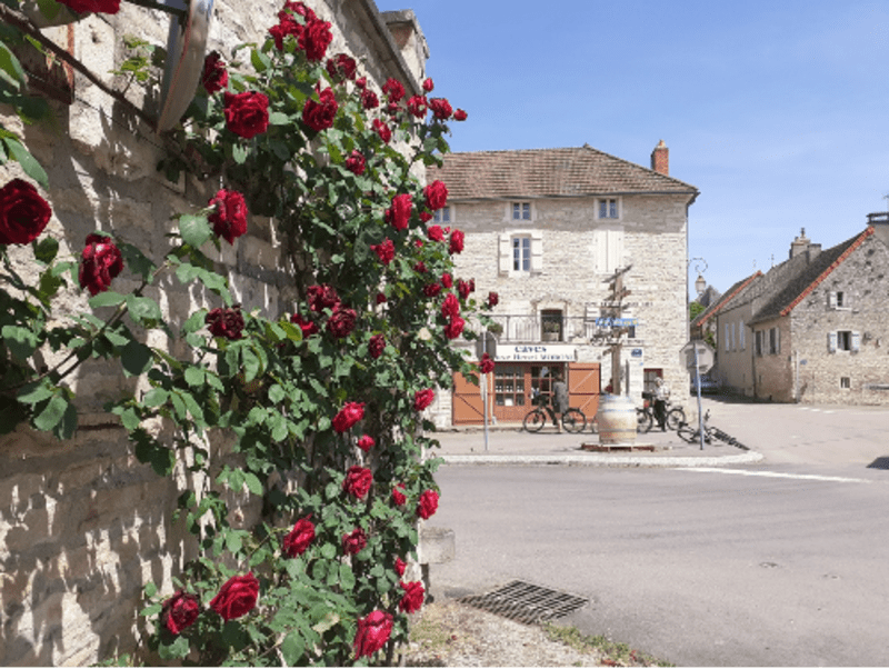 Boucle intrigante à VTT de Meursault à Puligny-Montrachet - Meursault