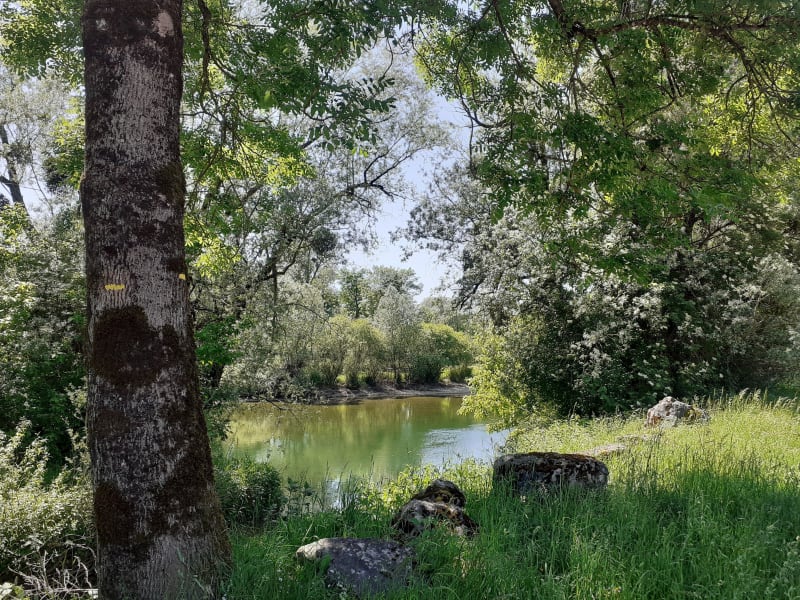 Pédaler sur les rives paisibles de la Loue - Ounans