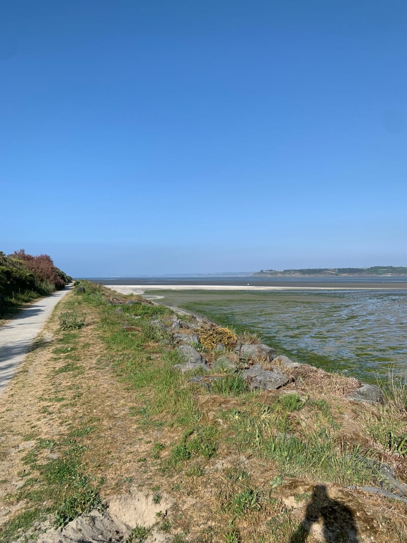 Le sentier des oiseaux - Cesson