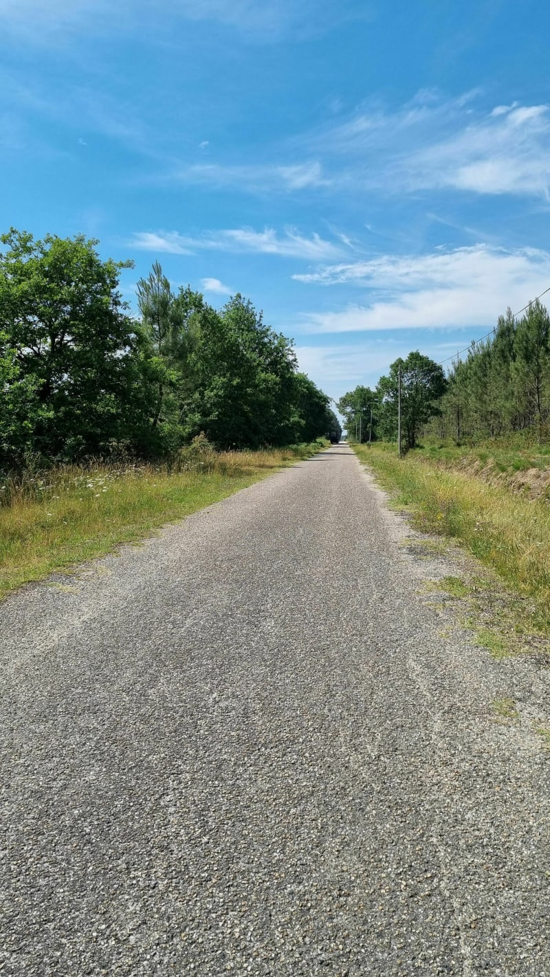 Boucle de Croix d Hins à Marcheprime par la piste forestière - Marcheprime