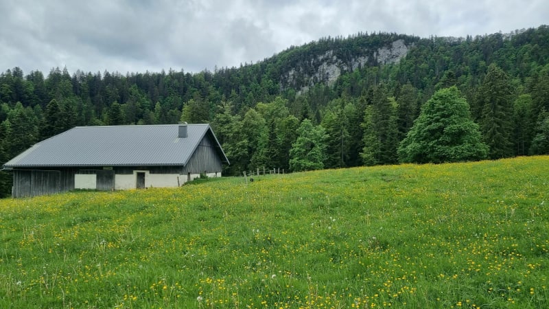Mont d'or depuis Metabief par le Cernois - Métabief
