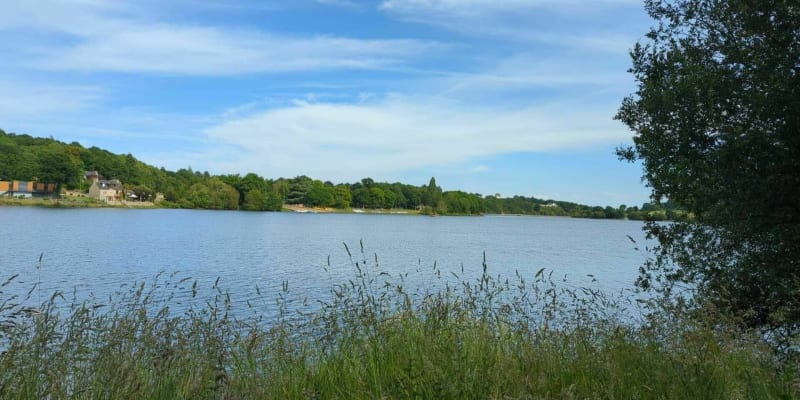 Course a pied lac de la Rosette - Jugon-les-Lacs-Commune-Nouvelle
