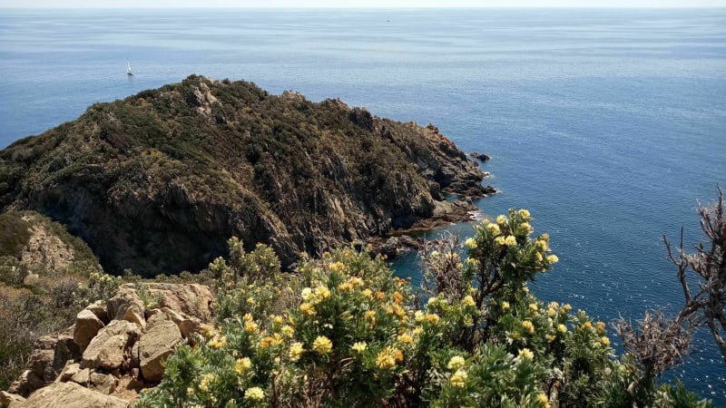 Randonnée du Cap Lardier au Cap Taillat - La Croix-Valmer