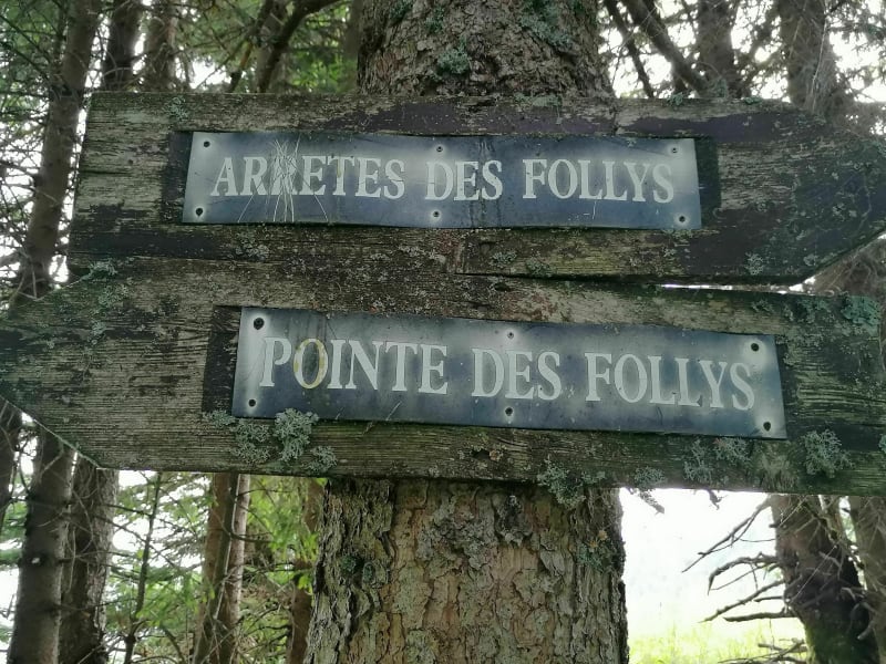 Sous la Pointe des Follys - Mégevette