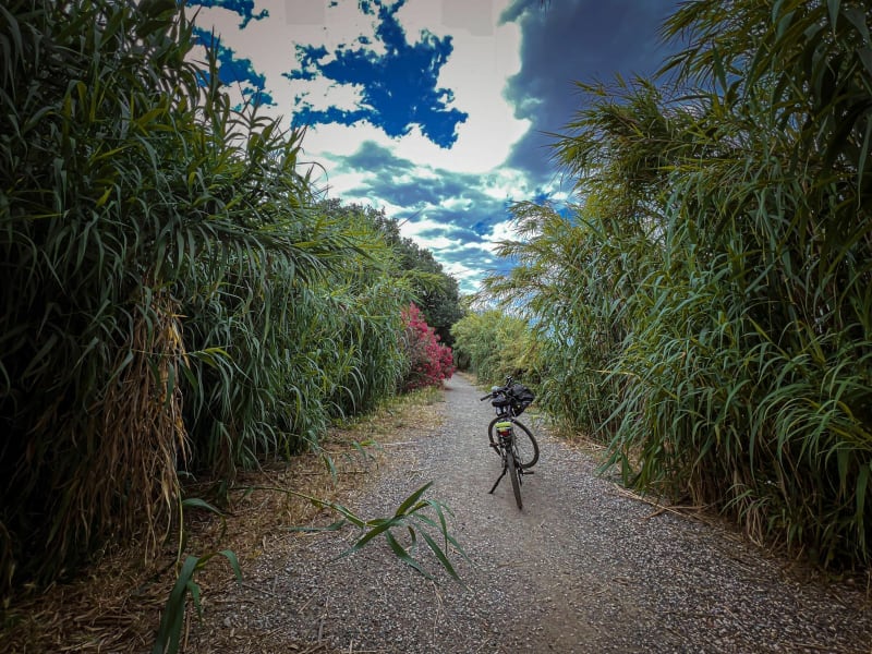D'Oniria à l'arboretum, en suivant le ruisseau du moulin - Canet-en-Roussillon