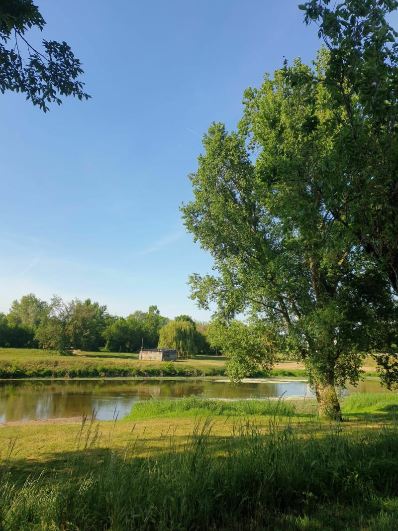 Boucle dans le Layon - Rochefort-sur-Loire
