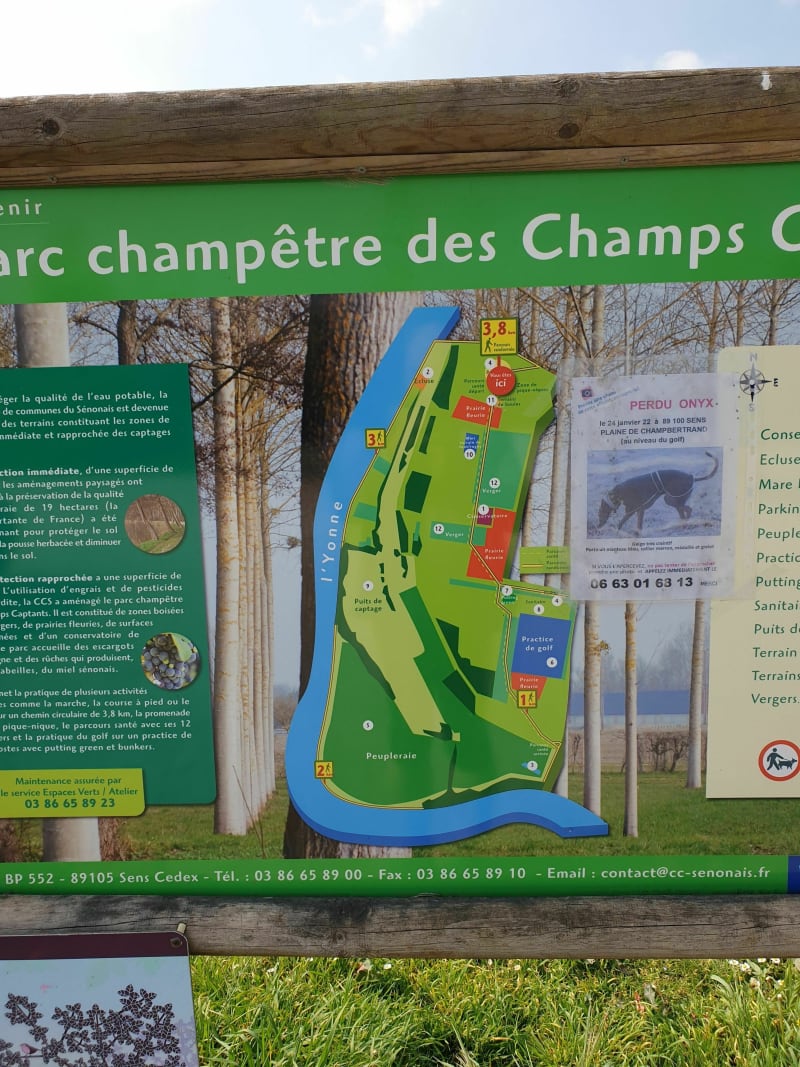 Les champs captants - Paron