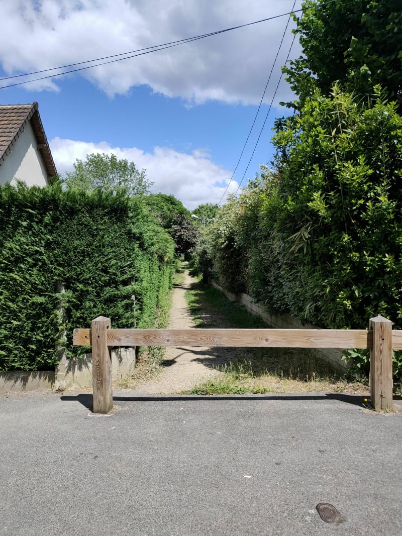 Tegeval entre ville et bois - Sucy-en-Brie
