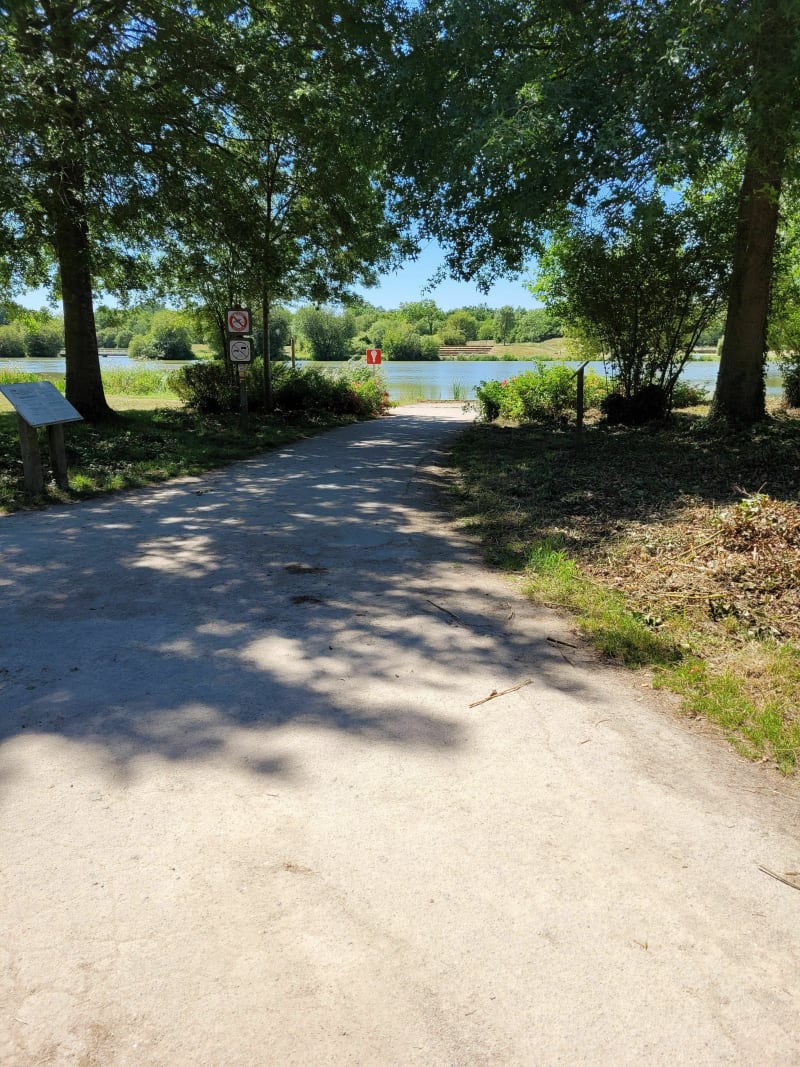 Sentier du paon du jour à Venansault - Venansault