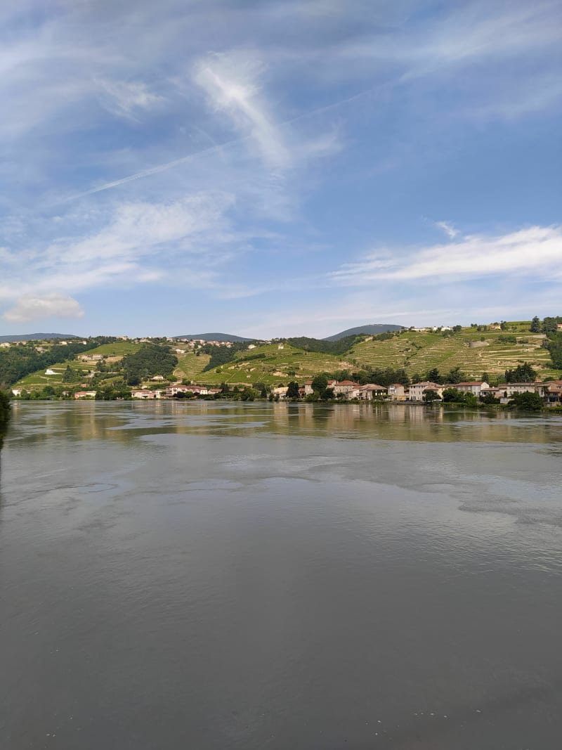 Entre vignes et Rhône - boucle depuis la gare de St Clair - Saint-Clair-du-Rhône