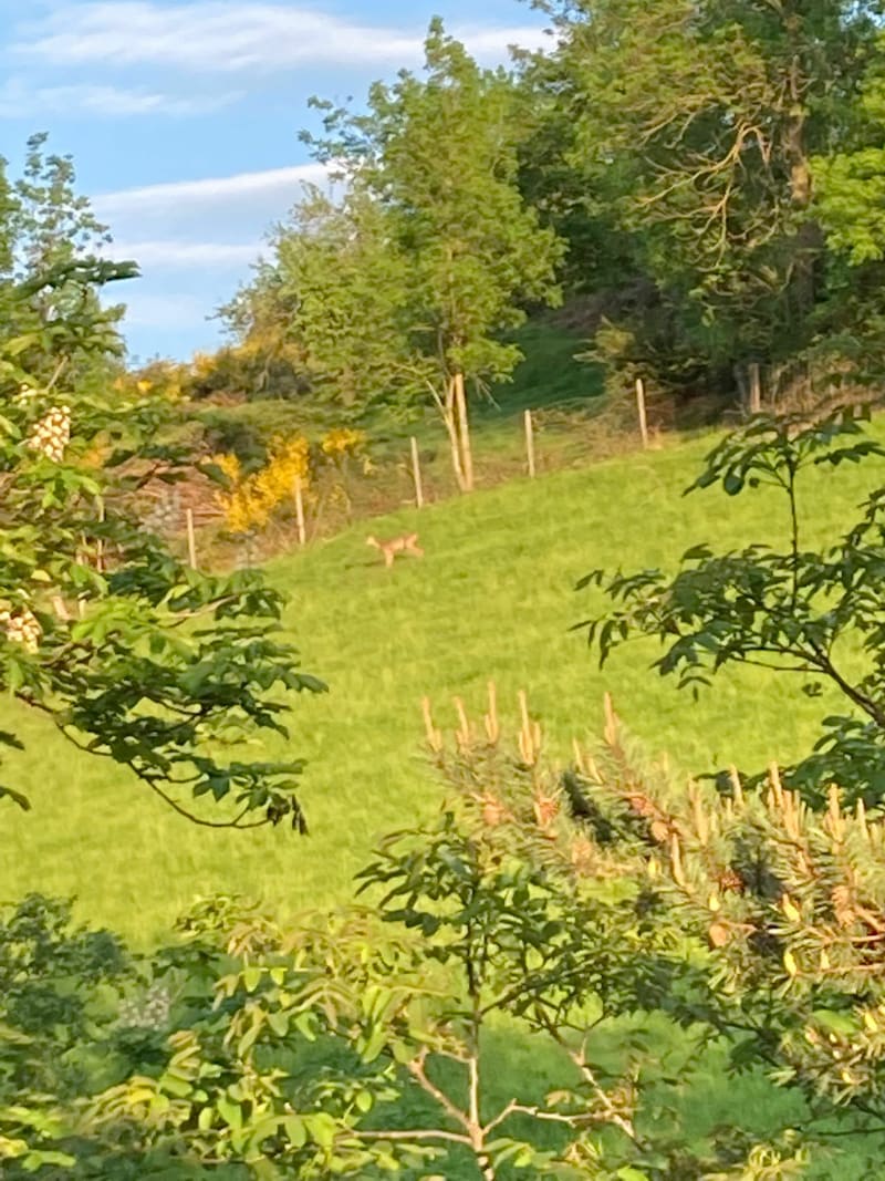 Petit tour des puits - Saint-Jean-Bonnefonds