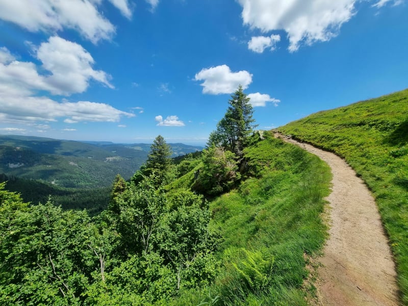 Le sentier des roches - Stosswihr