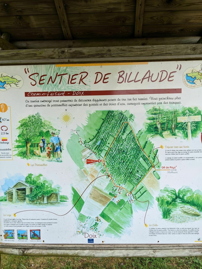 Marais de Billaude - Doix lès Fontaines