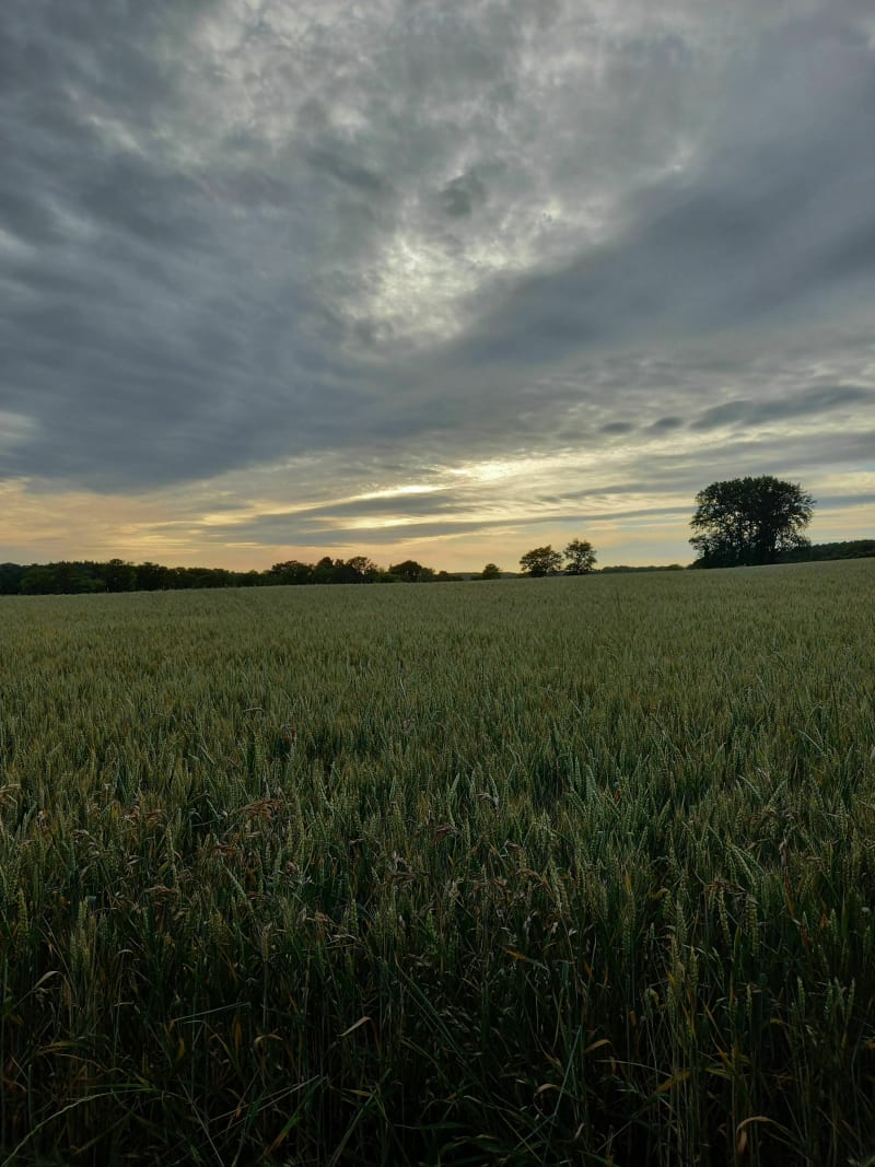 Promenade à Theix - Theix-Noyalo