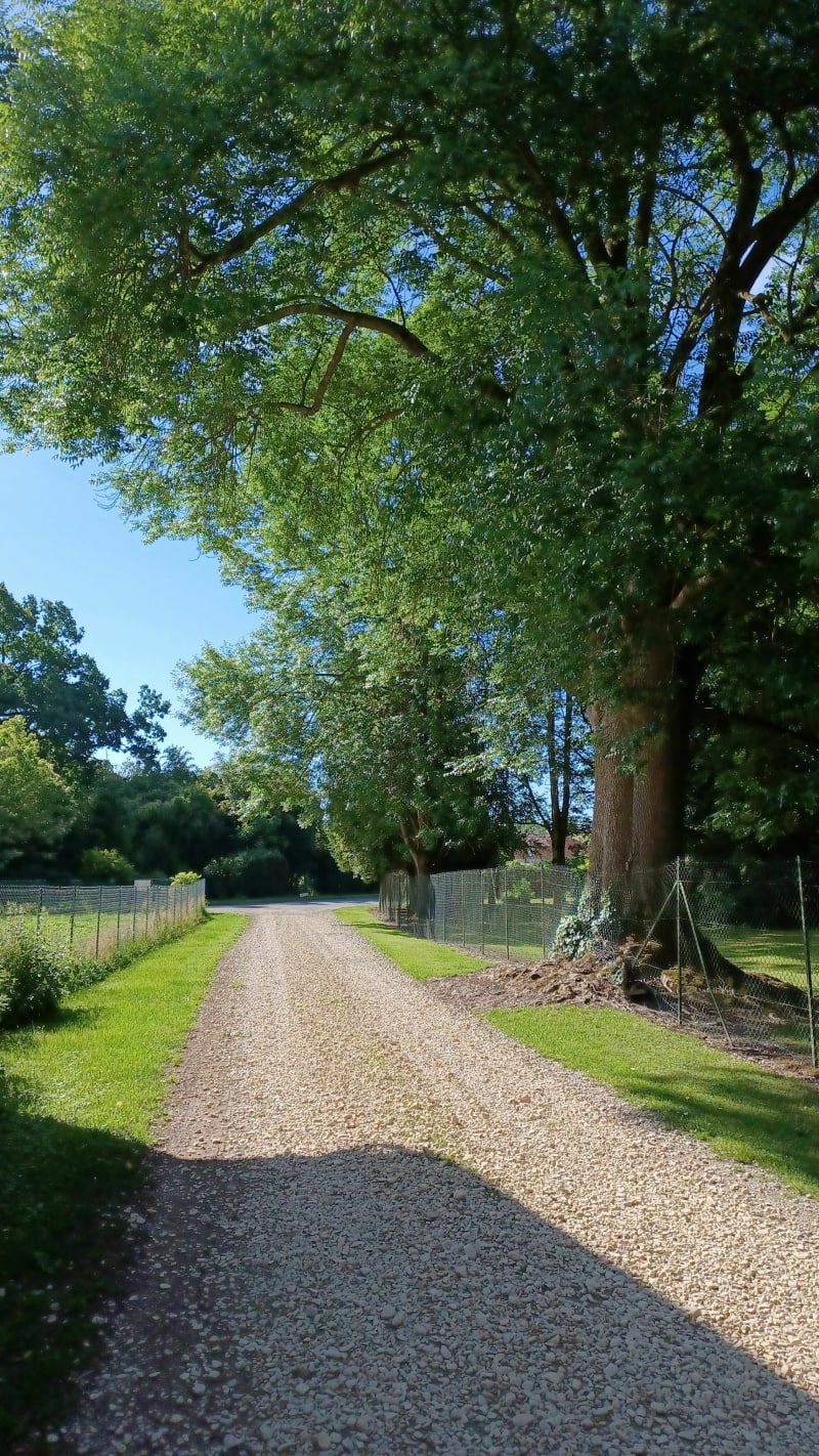 Aulnay l'Aître/ St Amand sur Fion / Coulvagny - Aulnay-l'Aître