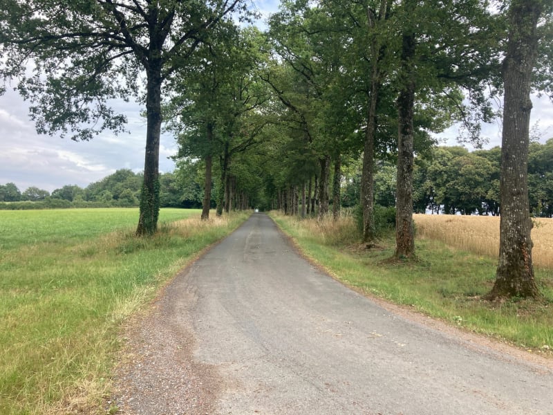 Chemins entre creux et vallons - Beaupréau-en-Mauges