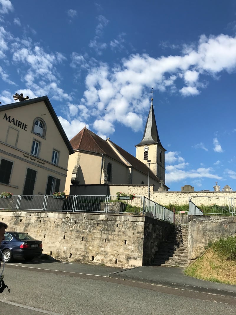 Balade des Orchidées du côté de Bourogne - Bourogne