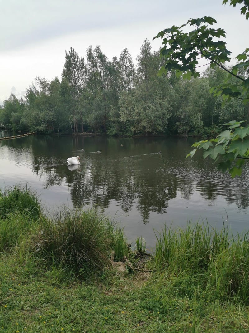 Balade le long du Ru des Hauldres et étang de la Motte - Moissy-Cramayel
