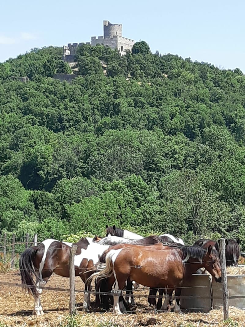 Une après-midi de rando - La Verpillière