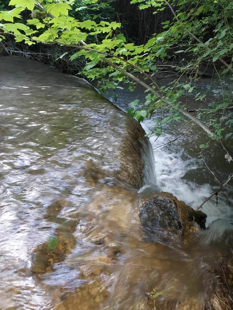 Promenade sur les ponts de Brienon sur Armançon - Brienon sur Armançon