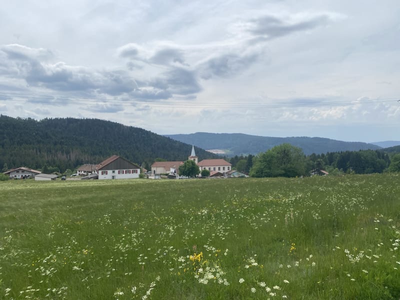 En roue libre à VTT au cœur du massif des Vosges - Granges-Aumontzey