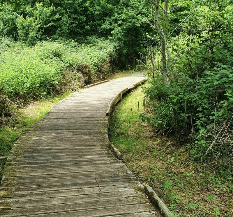 Sentier des Aulnes - La Capelle-lès-Boulogne