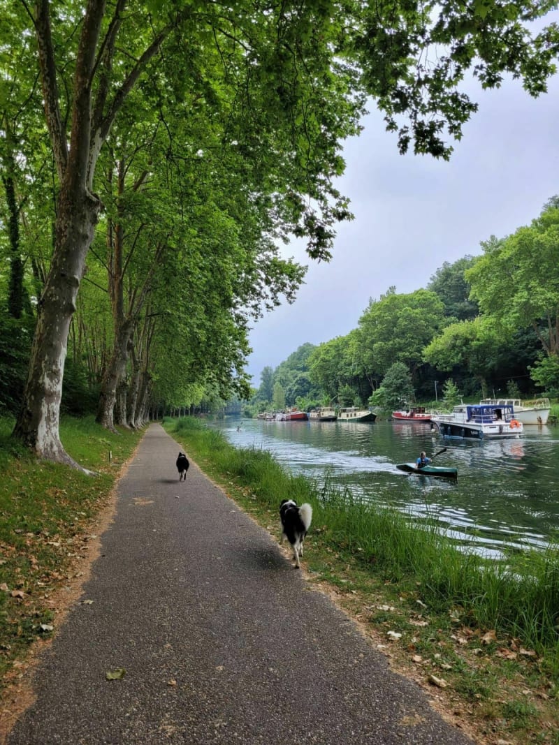 Entre canal et Garonne - Castets et Castillon