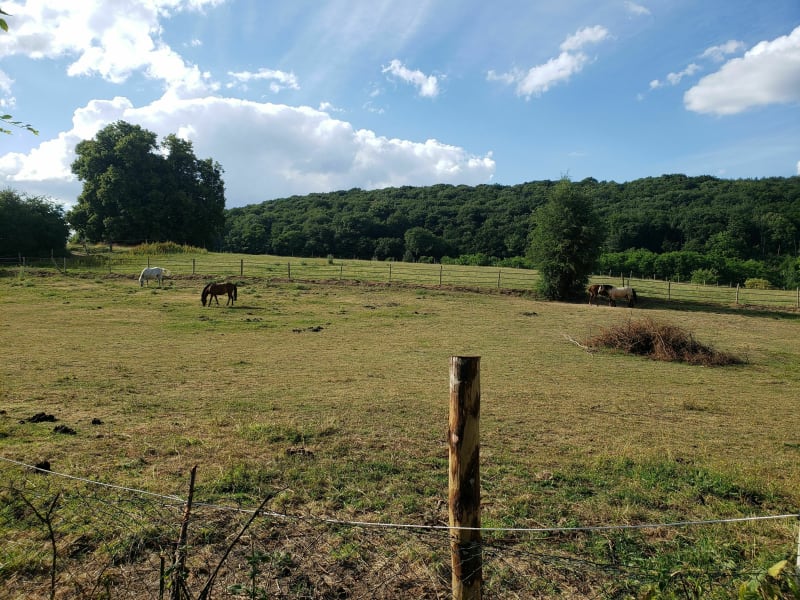 Visite de la mare Saint-Lubin, du plateau et du centre équestre - Louviers