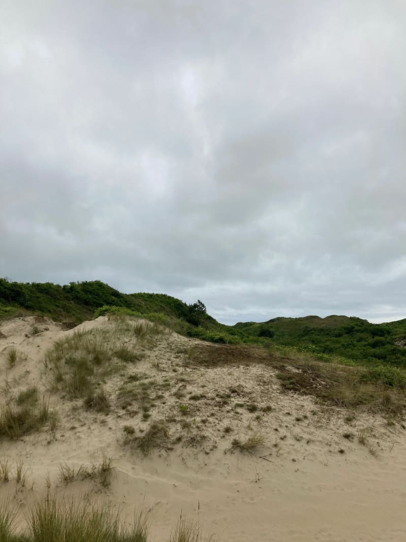 Balade autour du Touquet pour vous ressourcer avec la nature - Cucq