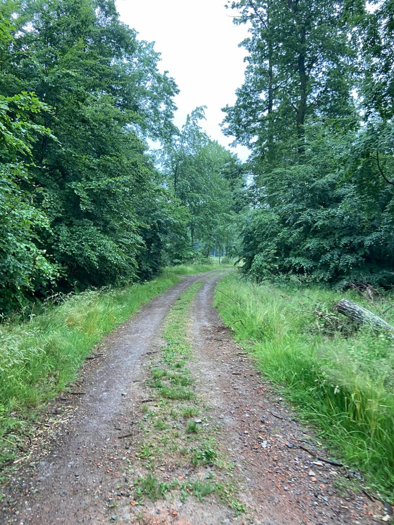 Mitschdorf à Lampertschloch par la carrière d’ocre. - Gœrsdorf