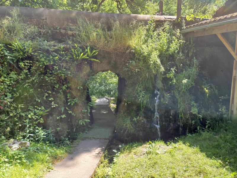 Fontaines de Dasle, Pont Sarrazin, Moulin de la Doue - Dasle