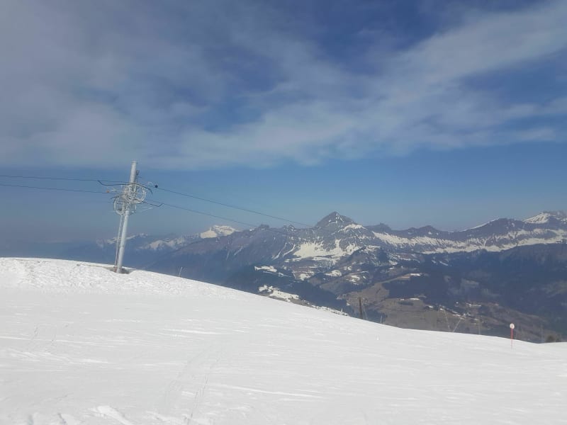Des saisies au Mont Bisanne - Hauteluce