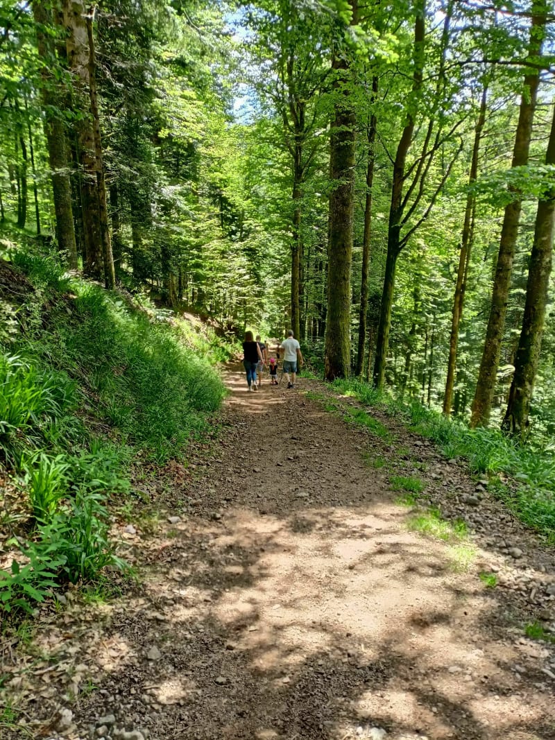 Balade avec vue - La Bresse