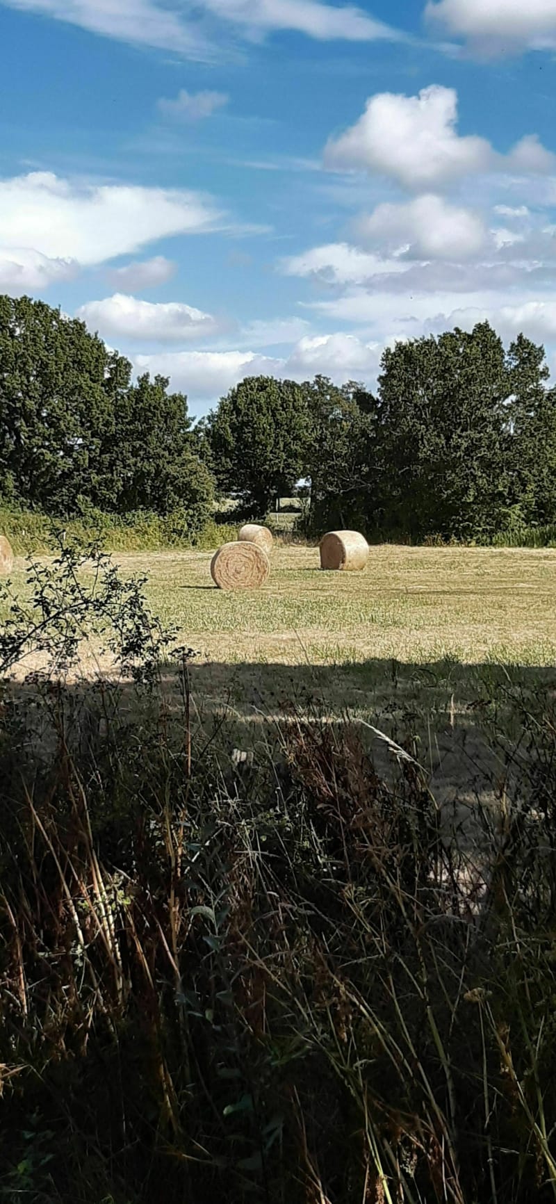 Vélo autour de Donges - Donges