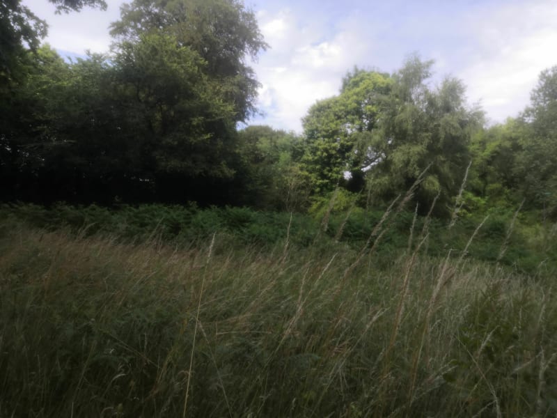 Jusqu'aux Terres de Nataé - Pont-Scorff