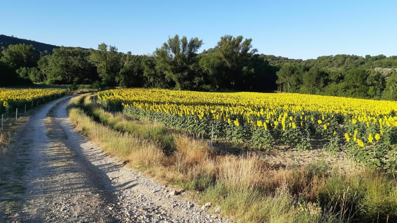 Plaine de Mons - Méjannes-lès-Alès