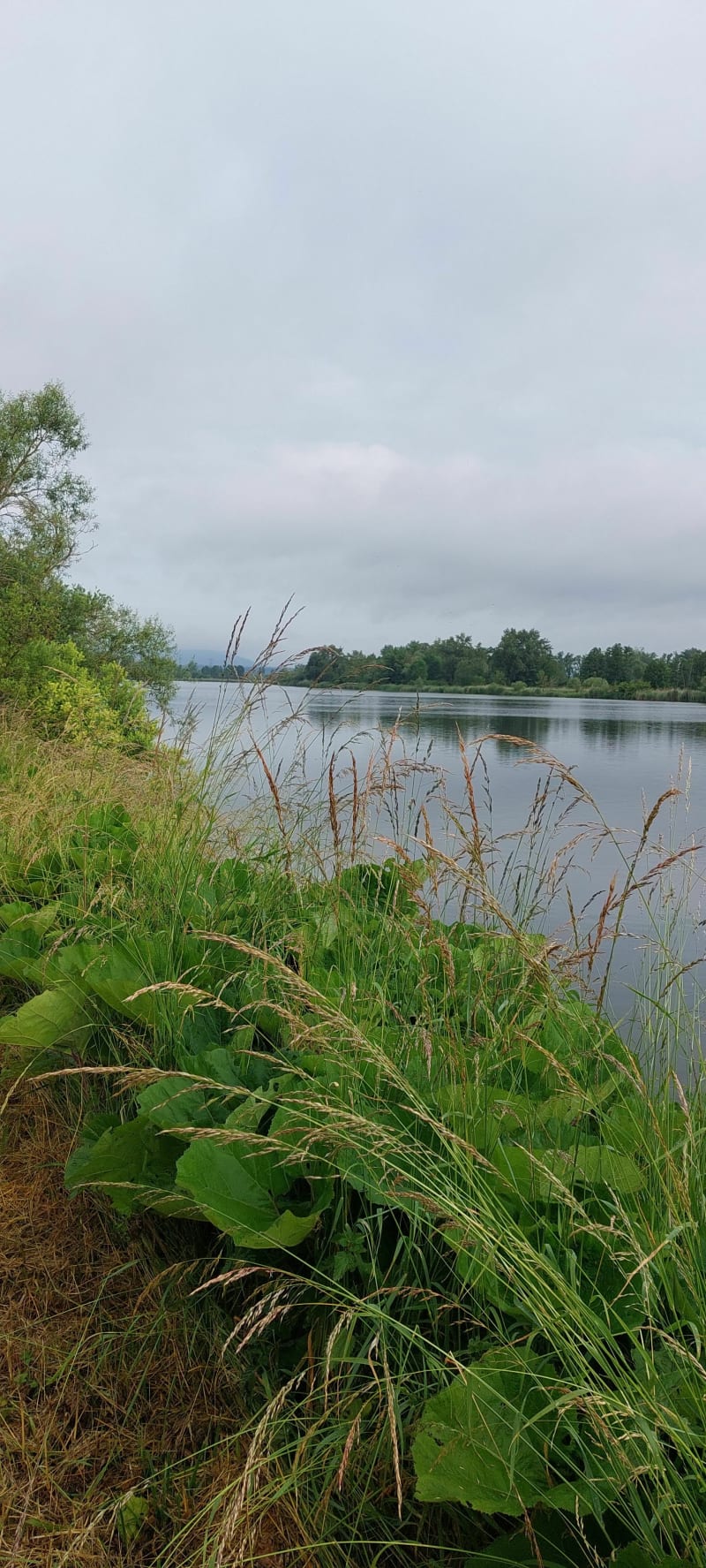 De Metz à Metz par le véloroute via Thionville et Bousse - Metz