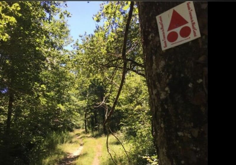 Tronçon de la GTMC et forêts entre Nièvre et Allier - Dornes