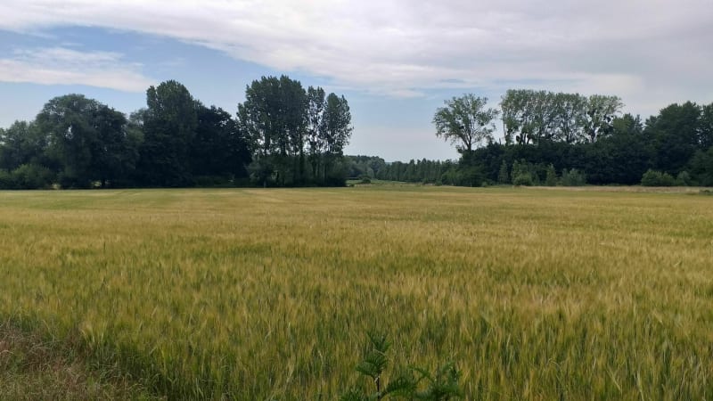 Forêt de St Léger aux Bois - Saint-Léger-aux-Bois