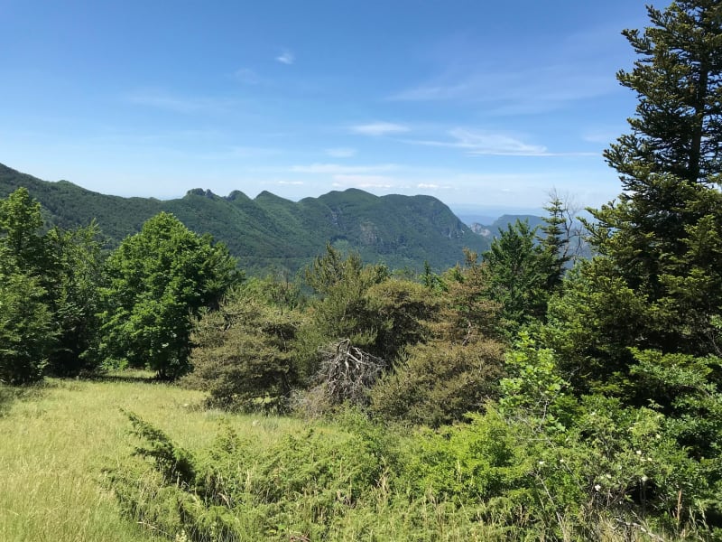 Belle balade dans la forêt de Saou, au pied des Trois Becs. - Saou