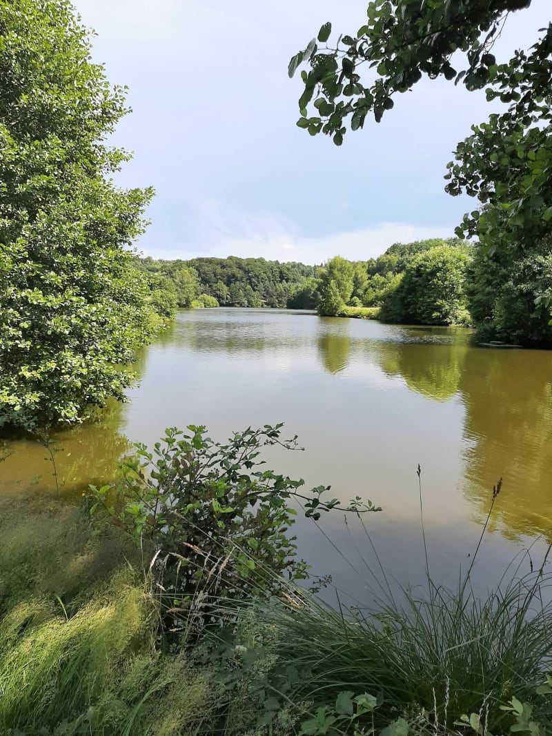 Circuit Du lac du Moulègre - Roumégoux