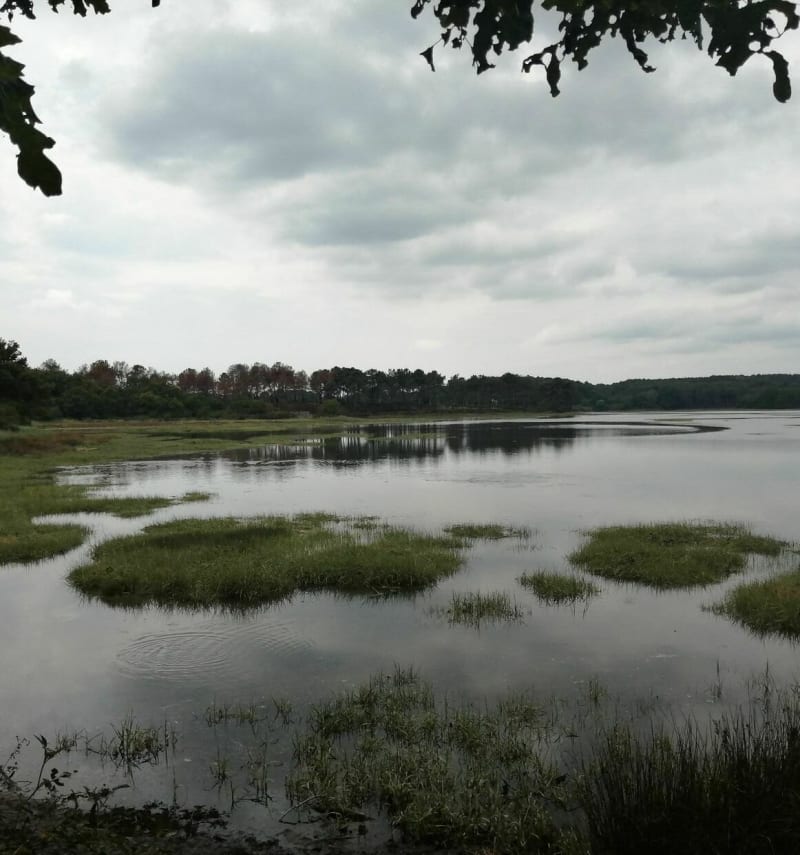 De la pointe des émigrés, tour du lac Vincin, Conleau - Vannes
