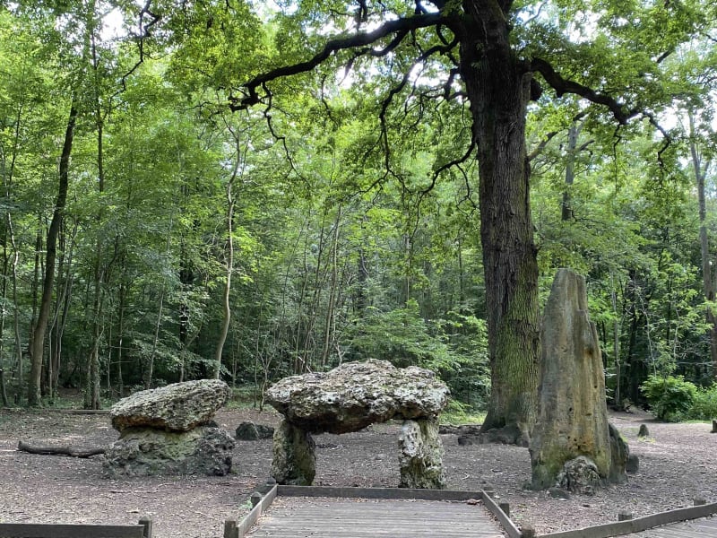 Mission VTT jusqu'aux mégalithes de Meudon - Versailles