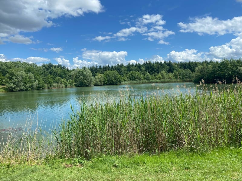Balade en forêt autour du plan d’eau d’Amneville - Amnéville